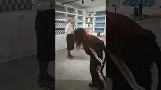 Выступление Жанар Мусиной На Matcha Party В Шоуруме В Алматы 