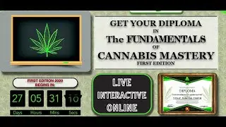50% OFF - The Fundamentals of Cannabis Mastery eDiploma Course- Limited Offer June/July 2020