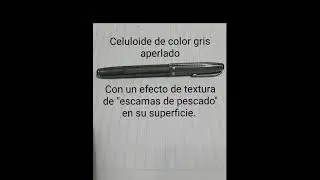Esterbrook L J. Una breve descripci&oacute;n.