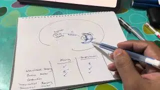 Aphasia (Wernickes, Brocas, Conduction), FCPS-1, MD, Diploma part 1