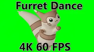 [Fixed] Furret Dancing On Green Screen | 4K 60 FPS