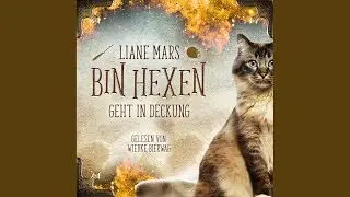 Kapitel 64 - Bin Hexen 2: Geht in Deckung