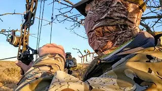 Bow Hunting: Challenges and Triumphs