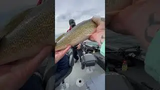 Fishing #fishing #minnesota #fishinglife #fisherman #fishingtiktoks #fishcontent #fish #mn