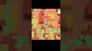 топ 1 в шеде с одной банкой #sorts #бравлстарс #brawlstars