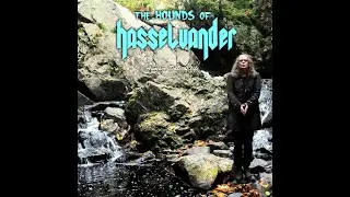 The Hounds Of Hasselvander - To The Core (Audio)