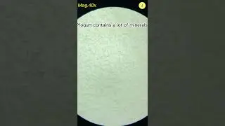 Yogurt Under The Microscope  | TULO - Microscope #shorts #underamicroscope #yogurt