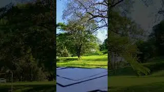 Studying with the calm music #relaxing #study #calm #anxietyrelief #meditation #university #nature