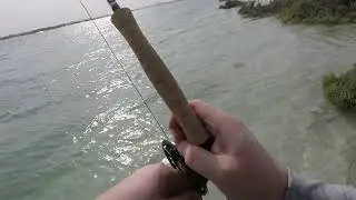 Golden trevally - Fly fishing Abu Dhabi, UAE. Winter fishing at its best! 