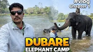 Elephant Bath in River 🐘 | Dubare Elephant Camp Coorg | Travel Vlog #ytshorts #vlog 