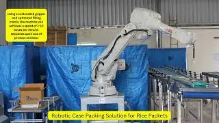 Smart Robotic Case Packing | Perfect Pick, Move & Place