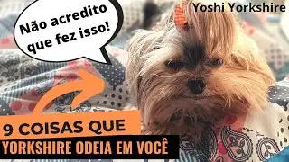 9 coisas que YORKSHIRE ODEIA em você