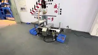 Free fall with belt conveyor type metal detector food processing industry for peanut
