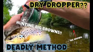 Hunting Big Browns on a Dry Dropper | Deadly Trout Fly Fishing Setup