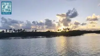 IRL: AO VIVO EM PORTO DE GALINHAS! 🏖️