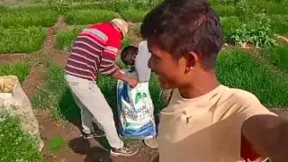Le liye pyaj ka ropa 🔥