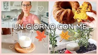🍂 VLOG | Giornata casalinga | torta autunnale | svuota la spesa | pulizia dei vetri