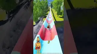 Aventuri extreme &icirc;n parcul acvatic