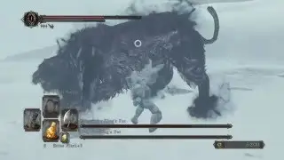 Dark Souls 2 Boss - Lud and Zallen, the King's Pets