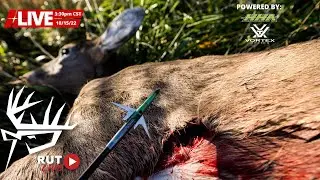LIVE October Pre-Rut Deer Hunting Action in WISCONSIN and IOWA