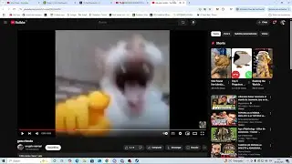 Xoda reacts to the best clips from Bellum 3 Day 4