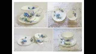 Royal Albert Teacup and Saucer White Daisy Blue Bachelor