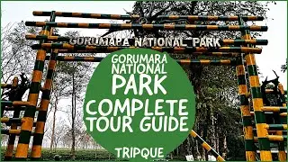 Dooars Complete Tour Guide in Hindi| North Bengal tour guide |Gorumara National Park|TripQueHindi