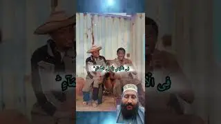 Beautiful Quran Recitation | Green Screen Shots | Al Quran PK Studio