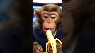 Banana#saiyara #comedy #song