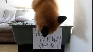 Happy Birthday Geralyn