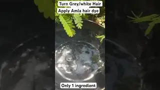 Turn Grey /white hair to black with Amla dye no Heena no indigo