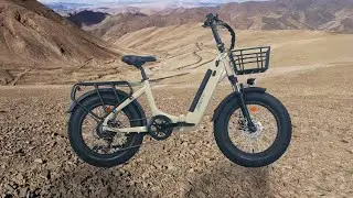 Saneagle Electric Bike Series |ZNH-E-2313