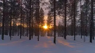 Will Cookson - Sunlight & Ashes
