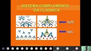 Sistema Complemento - Aula 9
