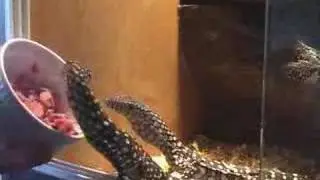 feeding time for baby