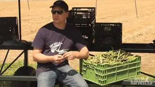 Local Harvest - Barrie Brothers Local Food Company