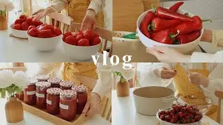 KIŞ HAZIRLIĞI NASIL YAPILIR / KAHVALTILIK SOS TARİFİ/ ÇİLEK REÇELİ/ TURŞU KURMAK / 4 çeşit Tarif