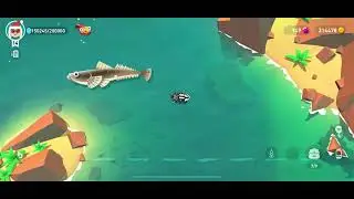 Dusky Flathead - creatures of the deep