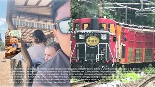 Dwellingup Day Trip | Forest Trails, River Views & Pure Nature: Laki Bhatt