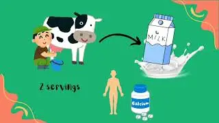 A GUIDE TO NUTRITION, GI AND GMO | Infographic Learning #BORNEOBIICC