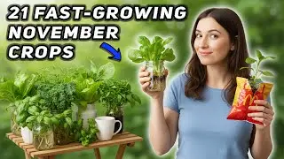 Top 21 Fast-Growing Vegetables to Plant in November (Perfect for Lazy Gardeners)
