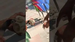 Summer special Ice apple fruit # ice apple # short #yshorts # YouTube shorats