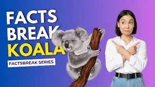 Did You Know Koalas Have Fingerprints - Facts Break