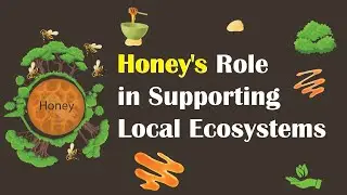 Honeybees In Local Ecosystems (The Buzzing Guardians)