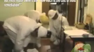 Cost of Mold Remediation