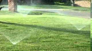 Frisco Tx Drip Irrigation | Drip Irrigation Frisco Tx | Call 972-429-0460