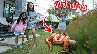 ฉันเกือบโดนงูกัด | บริ้งค์ไบรท์