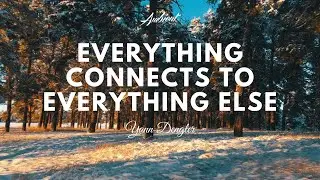 Yann Dengler - Everything Connects to Everything Else (Music Video)