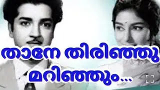 THAANE THIRINJUM MARINJUM |AMBALAPRAVU -1970 | S JANAKI | 