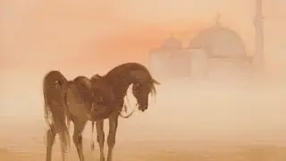 Sehrazat (Scheherazade) -  Rimsky Korsakov [Performed by Baris Manco]